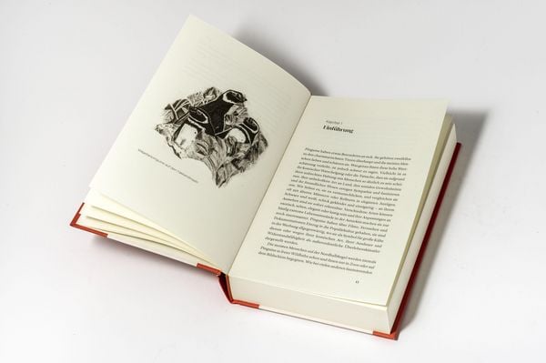 Produktbild: Das kleine Buch der Pinguine