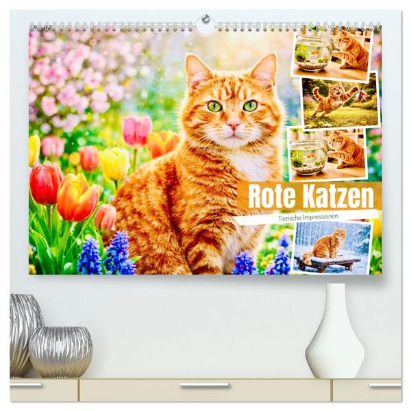Produktbild: Rote Katzen (hochwertiger Premium Wandkalender 2027 DIN A2 quer), Kunstdruck in Hochglanz
