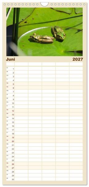Produktbild: Familienplaner 2027 - Fr&ouml;sche - Die wundersch&ouml;ne Welt der bunten H&uuml;pfer. mit 5 Spalten (Wandkalender, 21 x 45 cm) CALVENDO