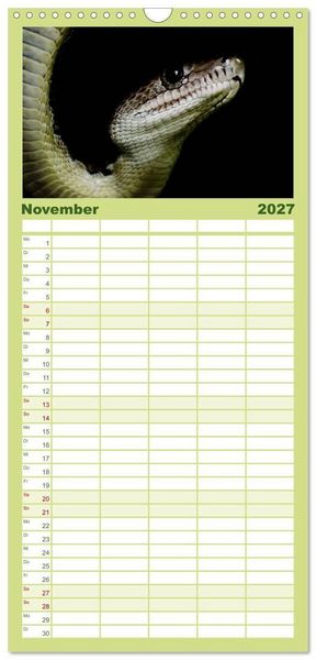 Produktbild: Familienplaner 2027 - Schlangen mit 5 Spalten (Wandkalender, 21 x 45 cm) CALVENDO