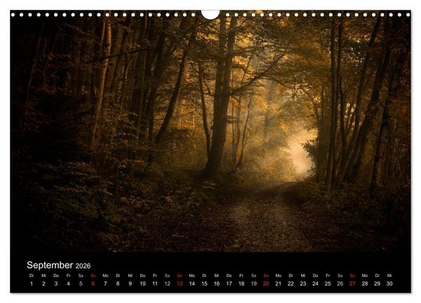 Produktbild: Mysterium Wald (Wandkalender 2026 DIN A3 quer), CALVENDO Monatskalender