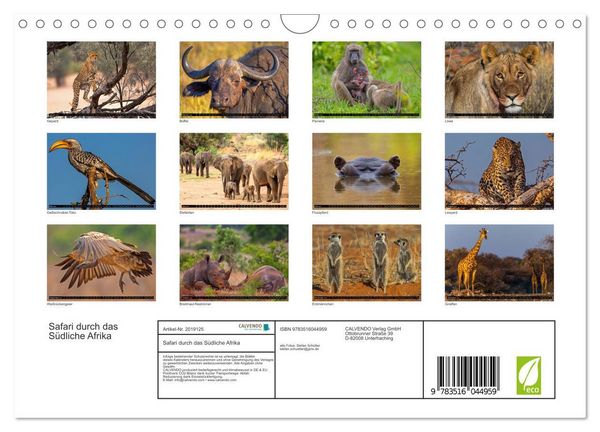 Produktbild: Safari durch das S&uuml;dliche Afrika (Wandkalender 2026 DIN A4 quer), CALVENDO Monatskalender
