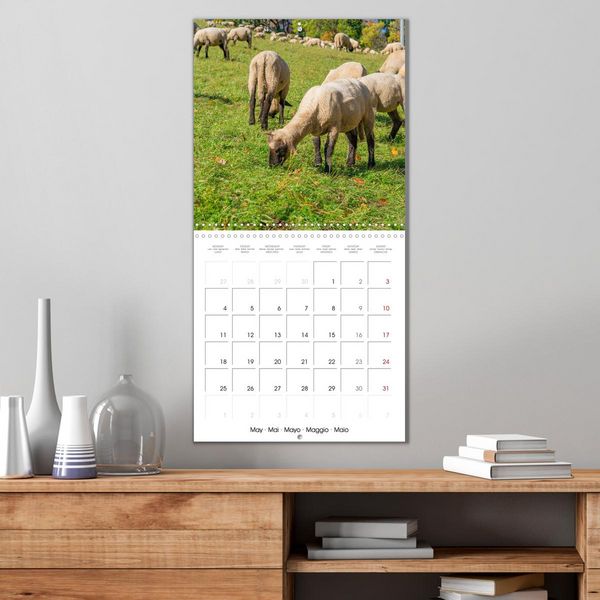 Produktbild: The wonderful world of sheep (Wall Calendar 2026 12 &times; 12 Inch) CALVENDO 12 Month Wall Calendar