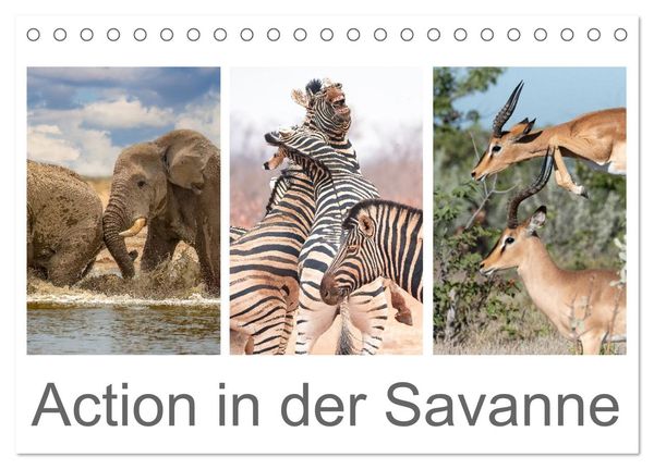 Produktbild: Action in der Savanne (Tischkalender 2026 DIN A5 quer), CALVENDO Monatskalender