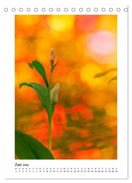 Produktbild: Bubble Bokeh (Tischkalender 2026 DIN A5 hoch), CALVENDO Monatskalender