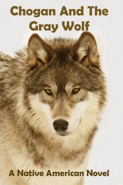 Produktbild: Chogan And The Gray Wolf