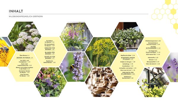 Produktbild: Wildbienenfreundlich g&auml;rtnern f&uuml;r Balkon, Terrasse und kleine G&auml;rten