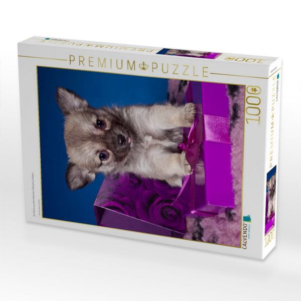 Produktbild: CALVENDO Puzzle Ein Motiv aus dem Kalender Chihuahua Welpen | 1000 Teile Lege-Gr&ouml;&szlig;e 64x48cm Foto-Puzzle f&uuml;r gl&uuml;ckliche Stunden