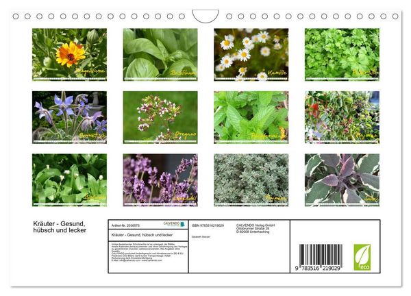 Produktbild: Kr&auml;uter - Gesund, h&uuml;bsch und lecker (Wandkalender 2026 DIN A4 quer), CALVENDO Monatskalender