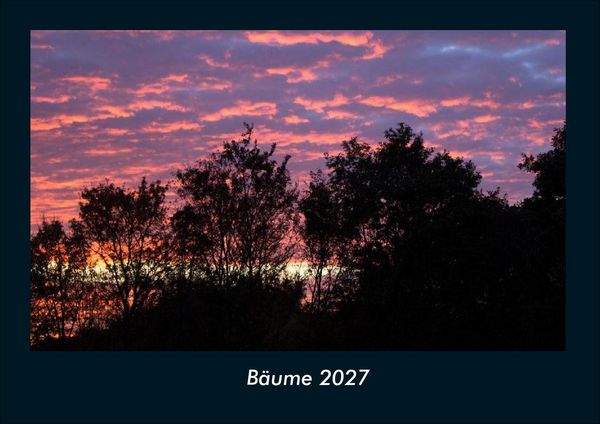 Produktbild: B&auml;ume 2027 Fotokalender DIN A4