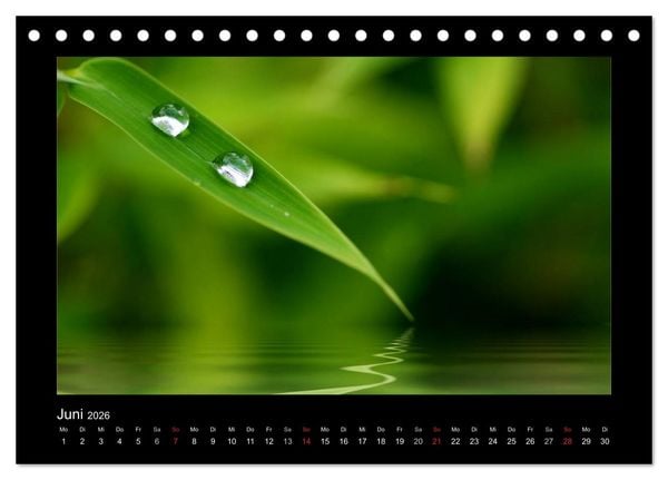 Produktbild: Meine kleine gr&uuml;ne Wassertropfen Welt (Tischkalender 2026 DIN A5 quer), CALVENDO Monatskalender