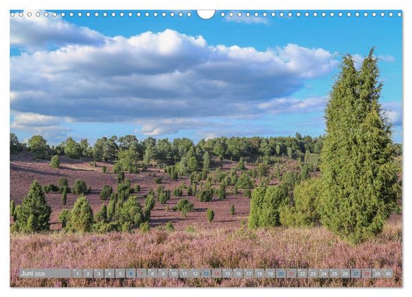 Produktbild: L&uuml;neburger Heide - Faszinierend sch&ouml;n (Wandkalender 2026 DIN A3 quer), CALVENDO Monatskalender