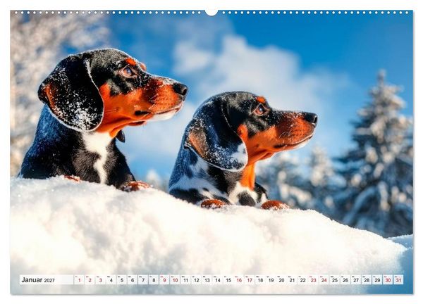 Produktbild: Lieblingshund Dackel (hochwertiger Premium Wandkalender 2027 DIN A2 quer), Kunstdruck in Hochglanz