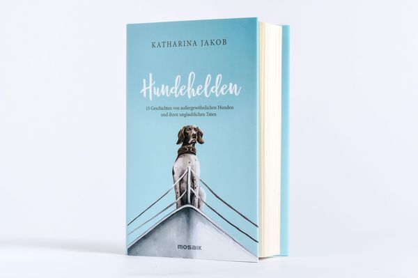 Produktbild: Hundehelden