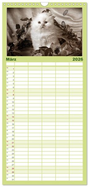 Produktbild: Familienplaner 2026 - Oma's Katzenkalender 2026 mit 5 Spalten (Wandkalender, 21 x 45 cm) CALVENDO
