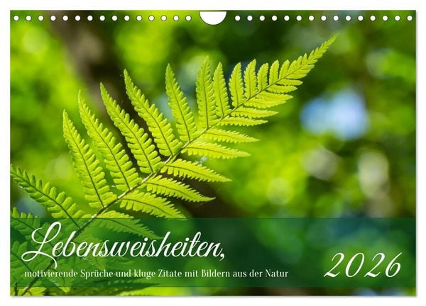 Lebensweisheiten, motivierende Sprüche und kluge Zitate mit Bildern der Natur (Wandkalender 2026 DIN A4 quer), CALVENDO Monatskalender