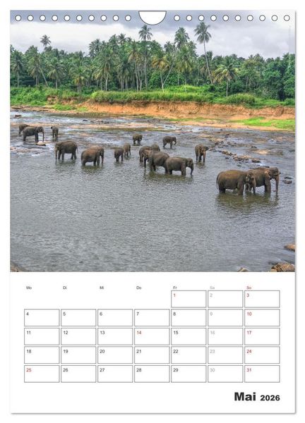 Produktbild: Sri Lanka 2026 - Exotisches Paradies - Jahresplaner (Wandkalender 2026 DIN A4 hoch), CALVENDO Monatskalender