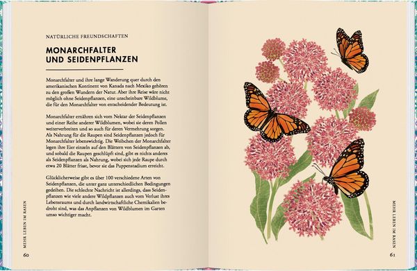 Produktbild: Wildblumen pflanzen