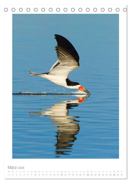 Produktbild: Pantanal &ndash; Einzigartiges Wildlife-Paradies (Tischkalender 2026 DIN A5 hoch), CALVENDO Monatskalender