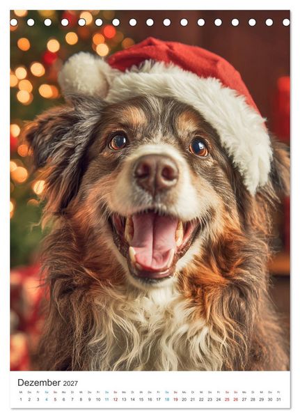 Produktbild: Lachen auf vier Pfoten (Tischkalender 2027 DIN A5 hoch), CALVENDO Monatskalender