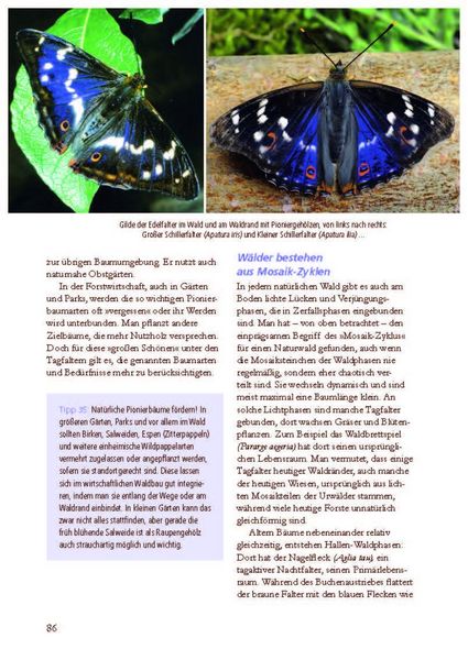 Produktbild: Besonders: Schmetterlinge