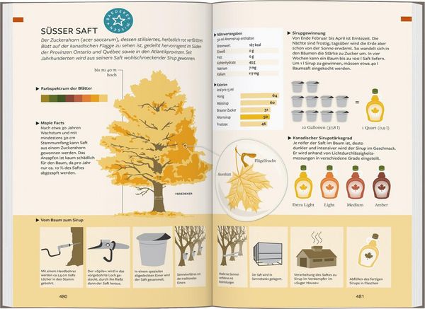 Produktbild: Baedeker Reisef&uuml;hrer Kanada Osten