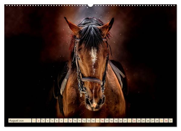Produktbild: Eleganz und Sch&ouml;nheit - Pferde (Wandkalender 2026 DIN A2 quer), CALVENDO Monatskalender
