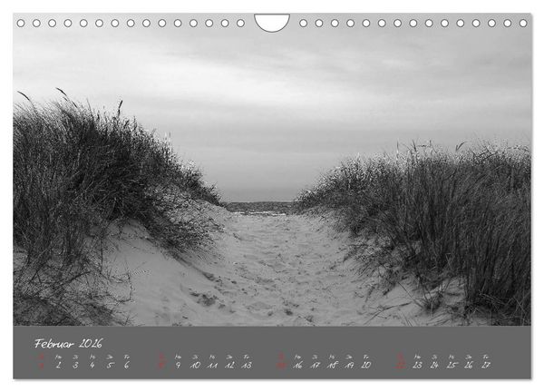 Produktbild: Wege zum Meer (Wandkalender 2026 DIN A4 quer), CALVENDO Monatskalender