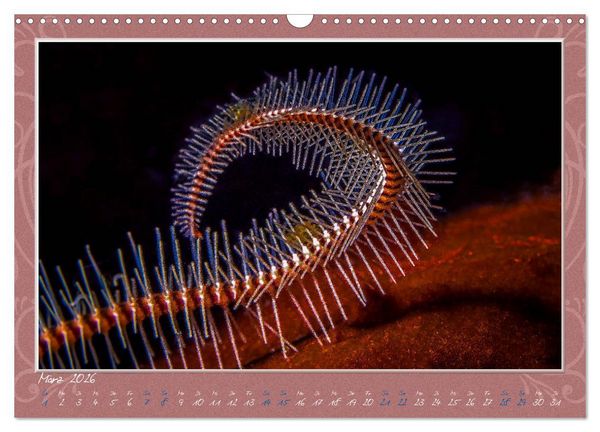 Produktbild: Unterwasser Kunstwerke (Wandkalender 2026 DIN A3 quer), CALVENDO Monatskalender