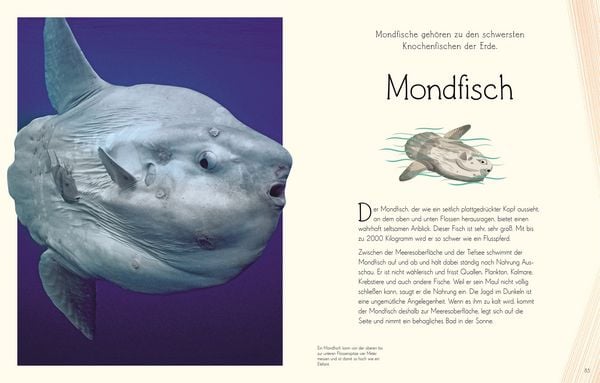 Produktbild: Wundervolle Welt. Wasser