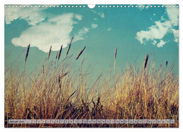Produktbild: AMRUM Art (Wandkalender 2026 DIN A3 quer), CALVENDO Monatskalender