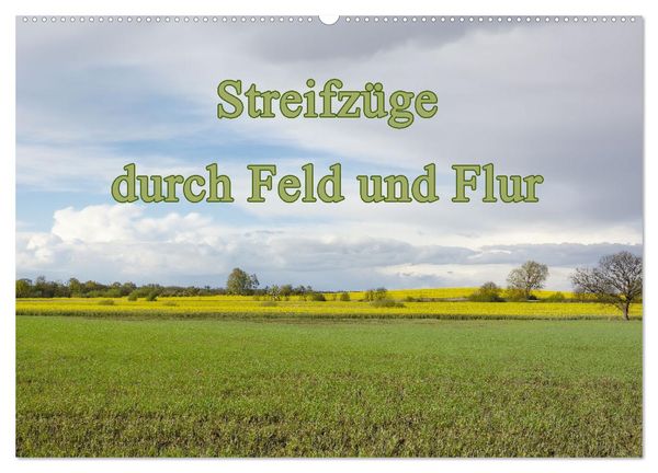 Produktbild: Streifz&uuml;ge durch Feld und Flur (Wandkalender 2026 DIN A2 quer), CALVENDO Monatskalender