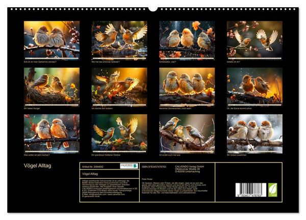 Produktbild: V&ouml;gel Alltag (hochwertiger Premium Wandkalender 2026 DIN A2 quer), Kunstdruck in Hochglanz