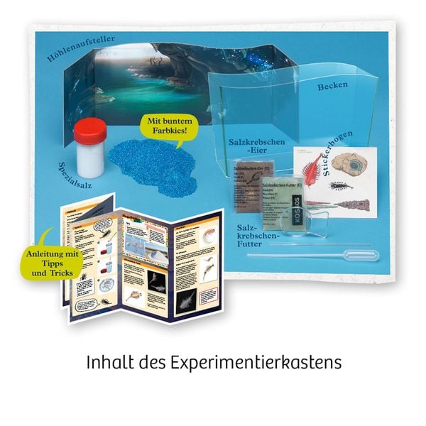 Produktbild: Fun Science Wuselnde Salzkrebse