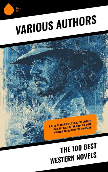 Produktbild: The 100 Best Western Novels