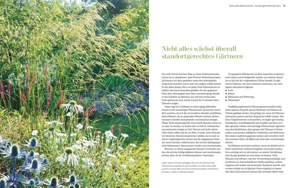 Produktbild: Immerbl&uuml;hende Beete