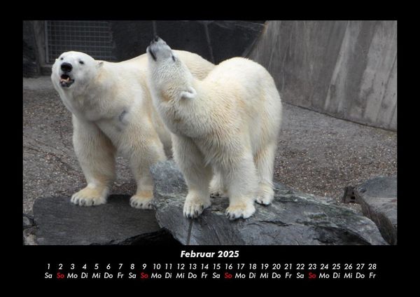 Produktbild: Tierkalender 2025 Fotokalender DIN A3