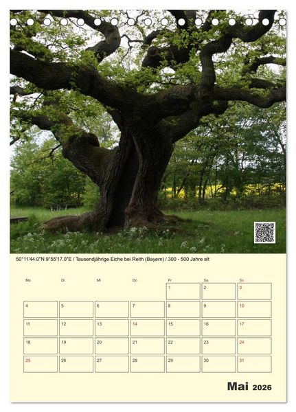 Produktbild: Uralt - Mit QR-Code und GPS zu alten B&auml;umen (Tischkalender 2026 DIN A5 hoch), CALVENDO Monatskalender
