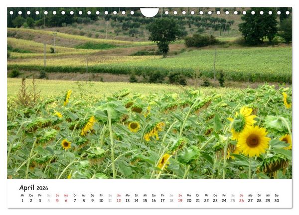 Produktbild: Camino di Assisi - Franziskusweg (Wandkalender 2026 DIN A4 quer), CALVENDO Monatskalender
