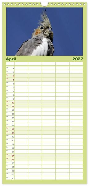 Produktbild: Familienplaner 2027 - Nymphensittiche mit 5 Spalten (Wandkalender, 21 x 45 cm) CALVENDO