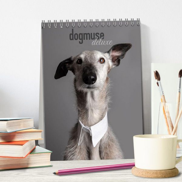 Produktbild: dogmuse deluxe (Tischkalender 2026 DIN A5 hoch), CALVENDO Monatskalender