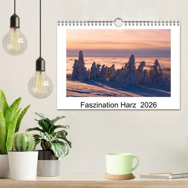 Produktbild: Faszination Harz 2026 (Wandkalender 2026 DIN A4 quer), CALVENDO Monatskalender