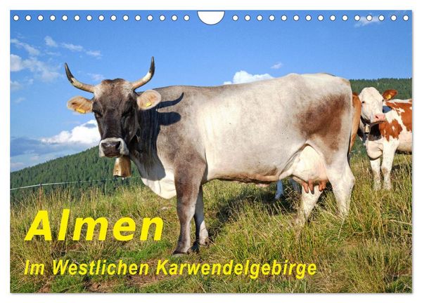 Almen im Westlichen Karwendelgebirge (Wandkalender 2026 DIN A4 quer), CALVENDO Monatskalender