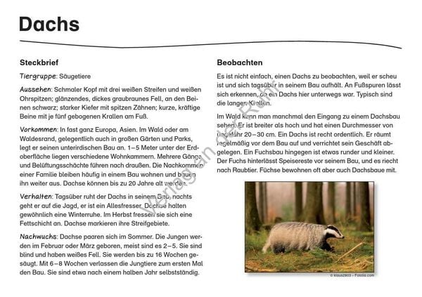 Produktbild: Waldtiere