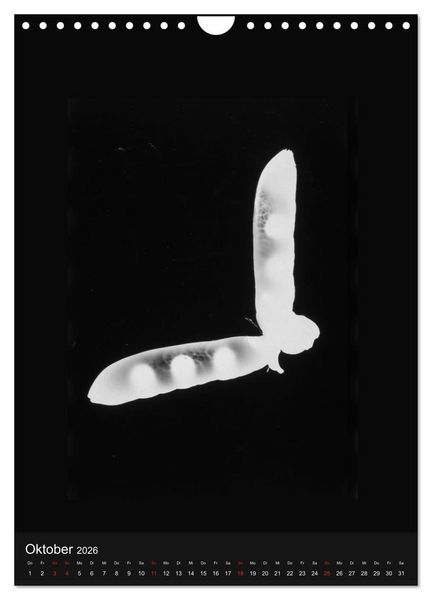 Produktbild: Anton Stankowski Fotogramme (Wandkalender 2026 DIN A4 hoch), CALVENDO Monatskalender