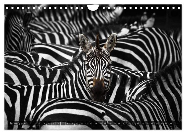 Produktbild: tanzania fine art (Wall Calendar 2026 DIN A4 landscape), CALVENDO 12 Month Wall Calendar
