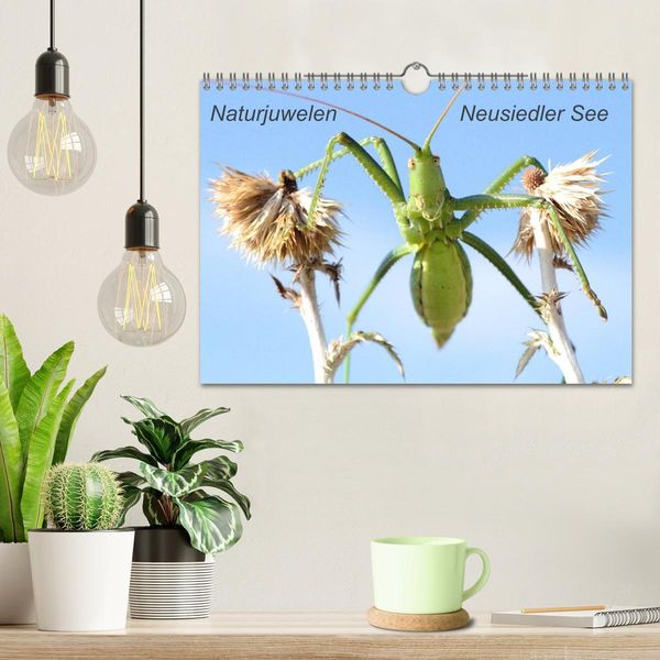 Produktbild: Naturjuwelen - Neusiedler See (Wandkalender 2026 DIN A4 quer), CALVENDO Monatskalender
