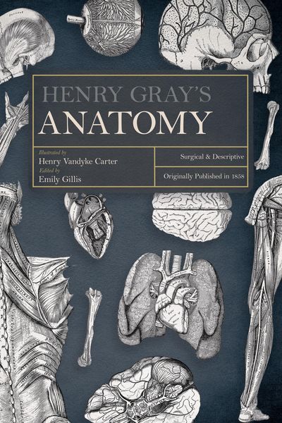 Produktbild: Henry Gray's Anatomy