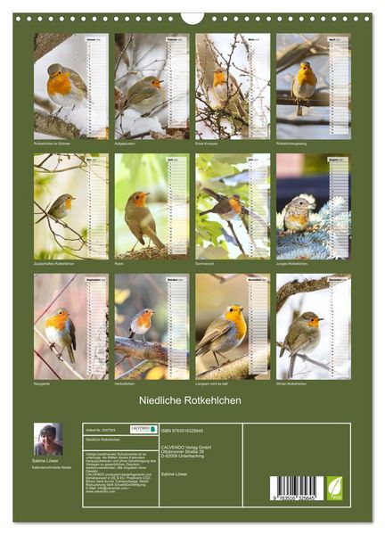 Produktbild: Niedliche Rotkehlchen (Wandkalender 2026 DIN A3 hoch), CALVENDO Monatskalender