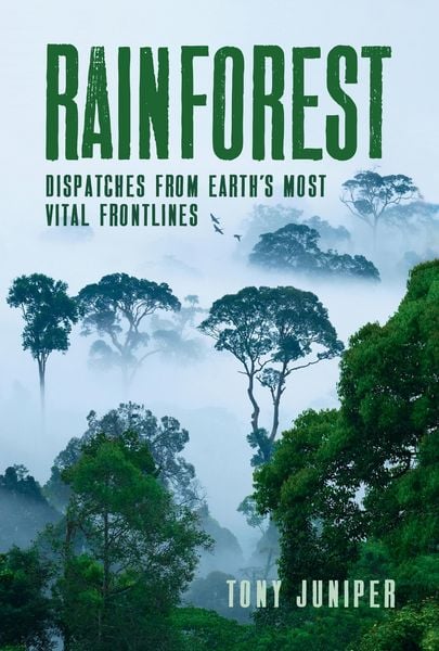 Produktbild: Rainforest